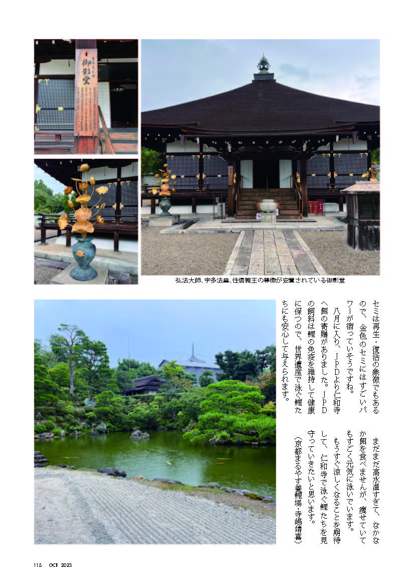 京都まるやす仁和寺だより2023年10月-2