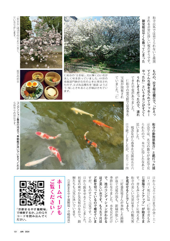 京都まるやす仁和寺だより2024年6月-2