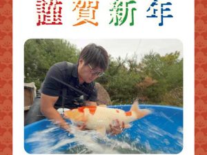 新年あけましておめでとうございます