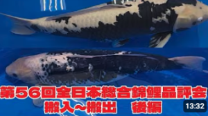 第56回全日本総合錦鯉品評会の様子をYouTubeチャンネルにアップしています!