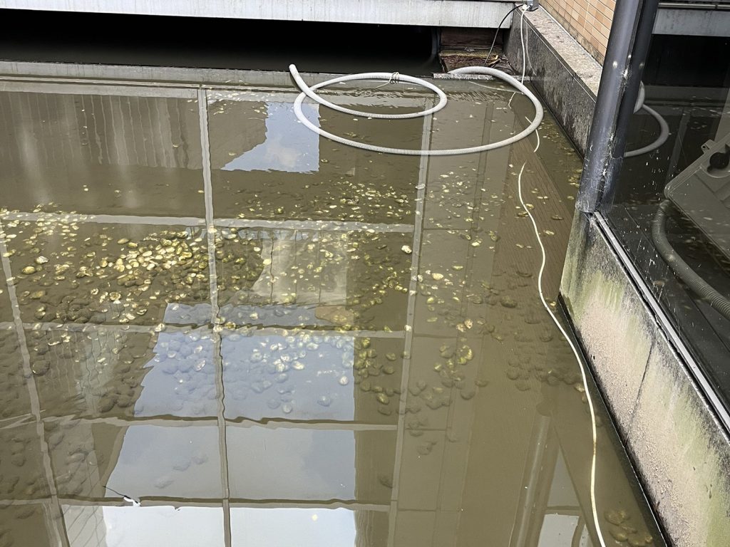 京都テルサ様７