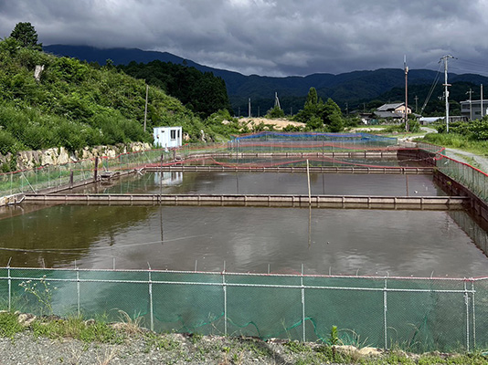 滋賀養鯉場1