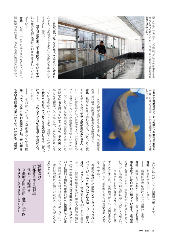 関西一の鯉屋をめざして11