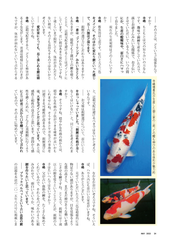 関西一の鯉屋をめざして5