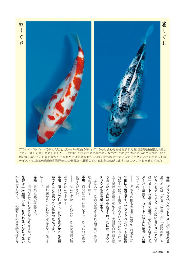 関西一の鯉屋をめざして7